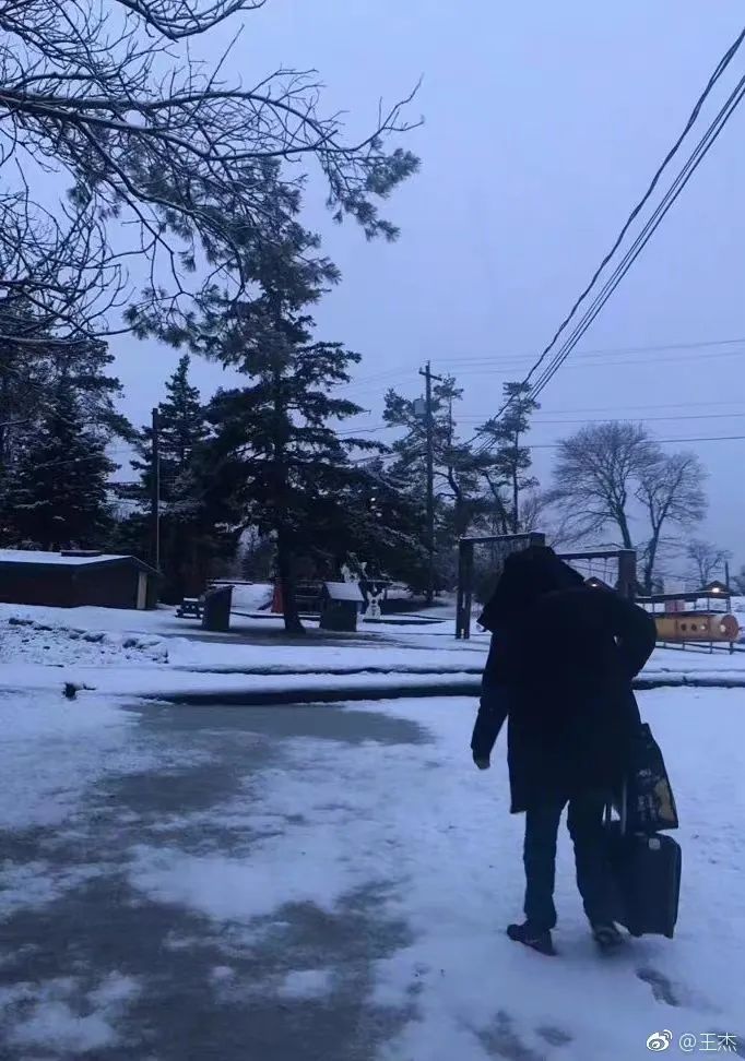 消失的王杰,王杰是怎么销声匿迹的