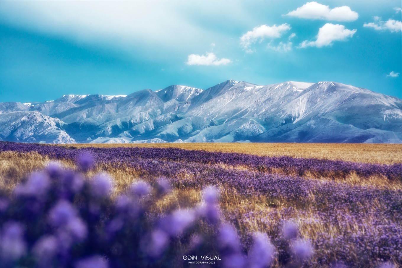 新疆伊犁之美,走了一圈才发现世界万物远不及你