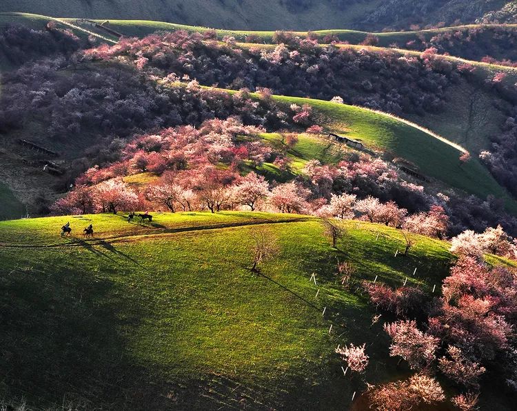 国内十大免费旅行圣地 (10个国内性价比最高的小众旅行地)