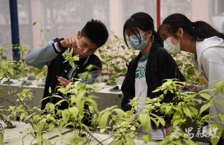 粤港交流同根同心！香港两所学校师生走进番禺南村中学