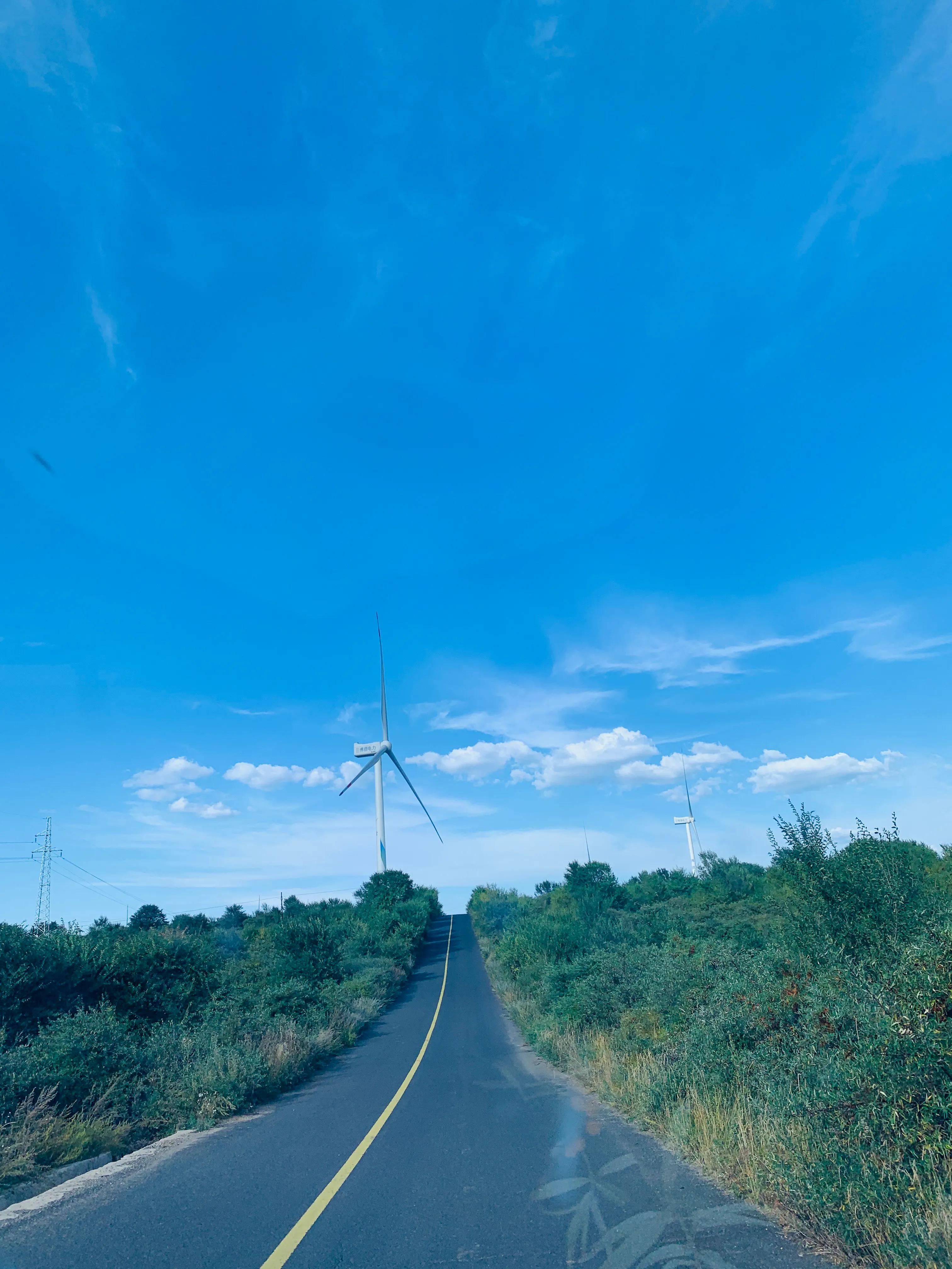 第一天孙燕姿完整版,第一天上班