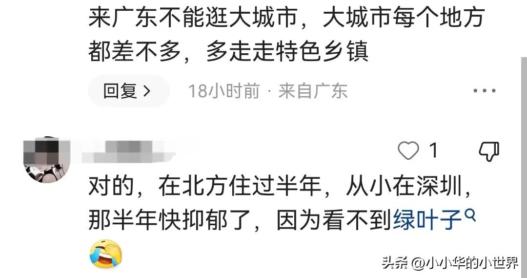 广东人为什么离不开家,不同广东人对广东各市的评价