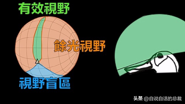 鸭：一鸭战四虎？弹射胜航母？鸭子的真相，也许超乎你的想象