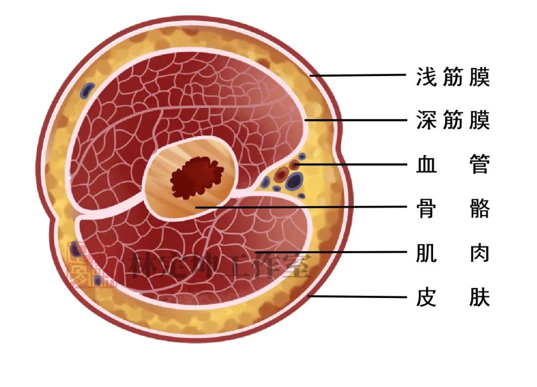筋膜枪好还是颈椎按摩器好,筋膜枪和颈椎按摩仪哪个值得选