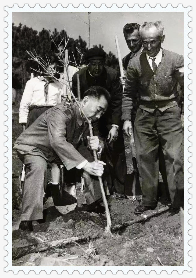 资本抛出橄榄枝,抛出橄榄枝反转