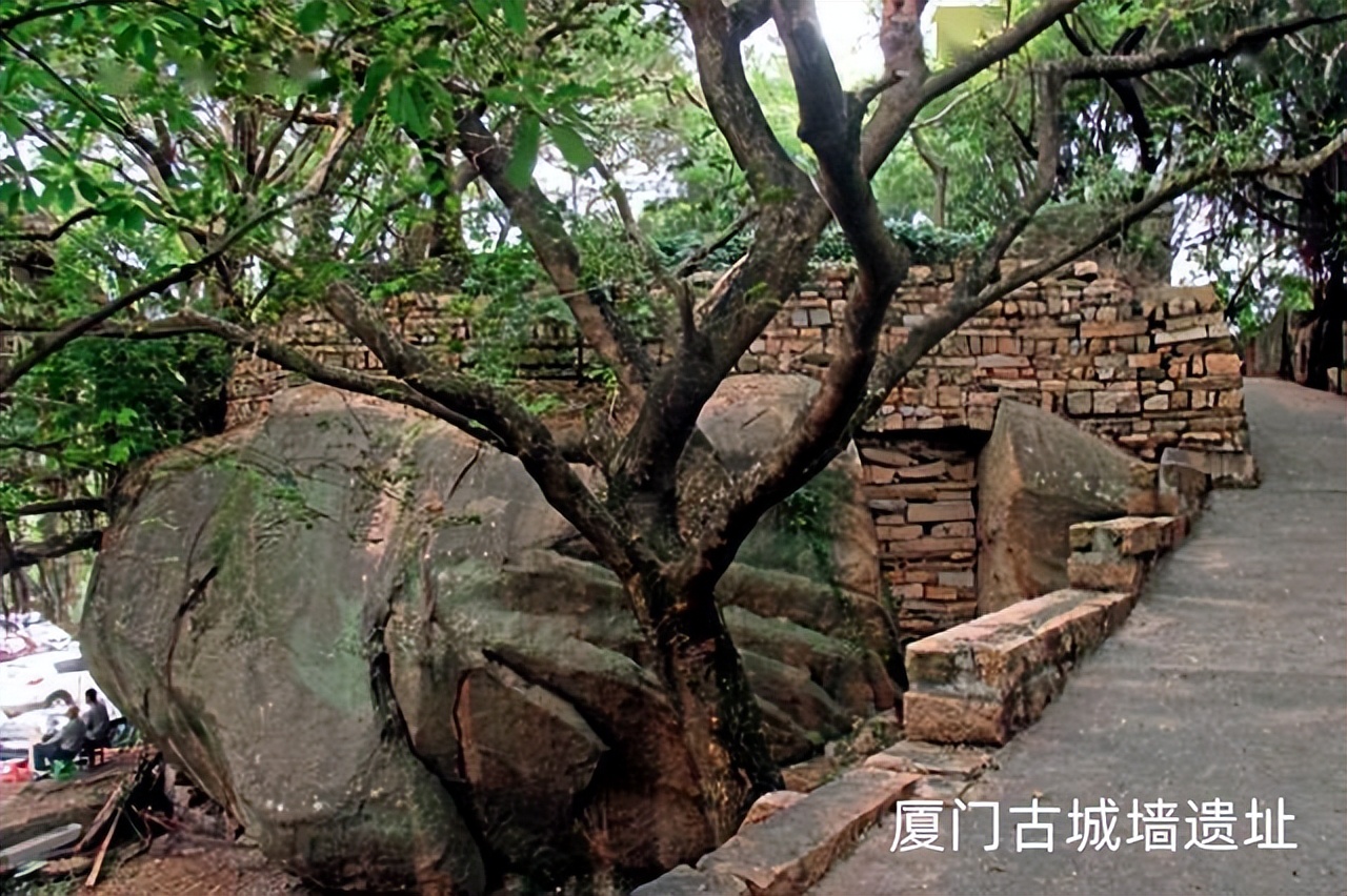 厦门带孩子去哪里玩,厦门带女朋友去哪里玩