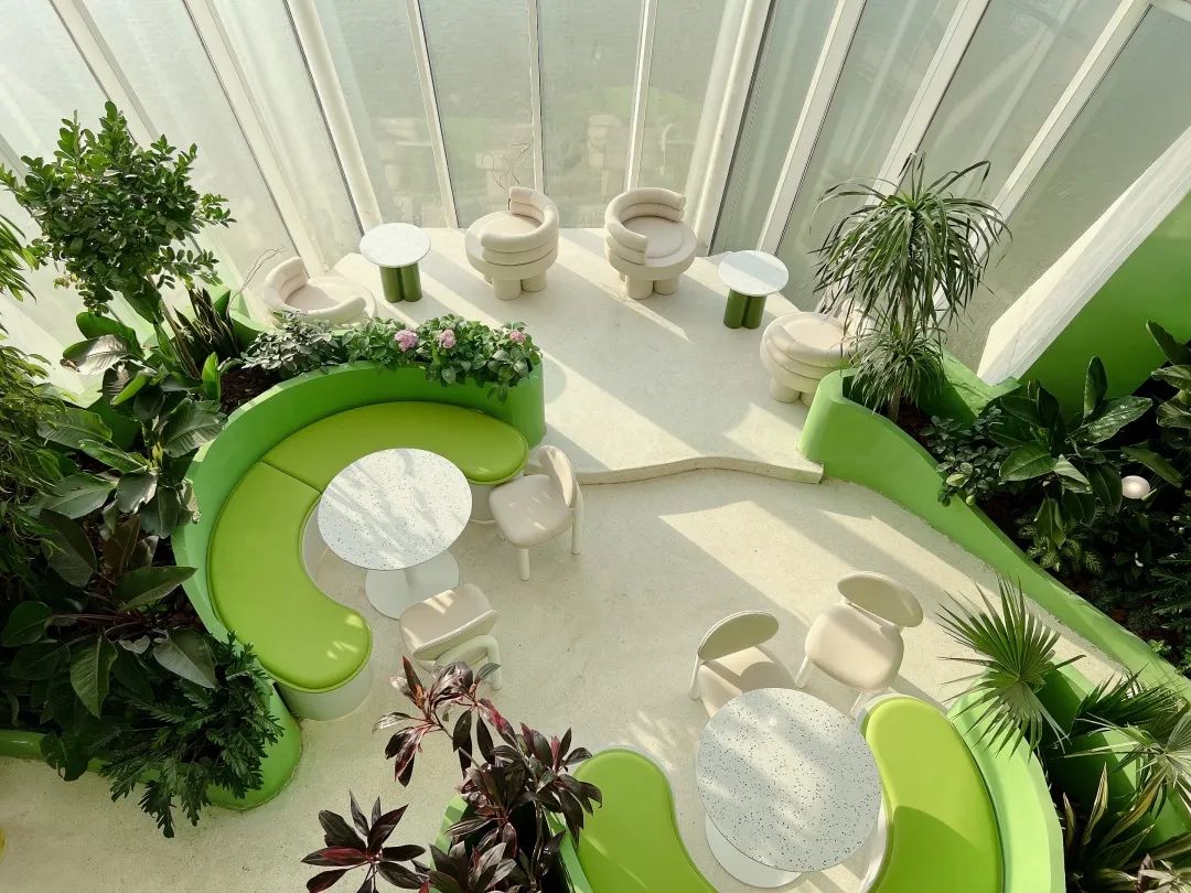 衡水园博园改造,衡水湖改造工程