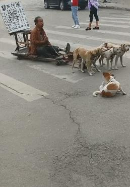 沙雕撩人幽默冷笑话,冷笑话沙雕搞笑句子大全