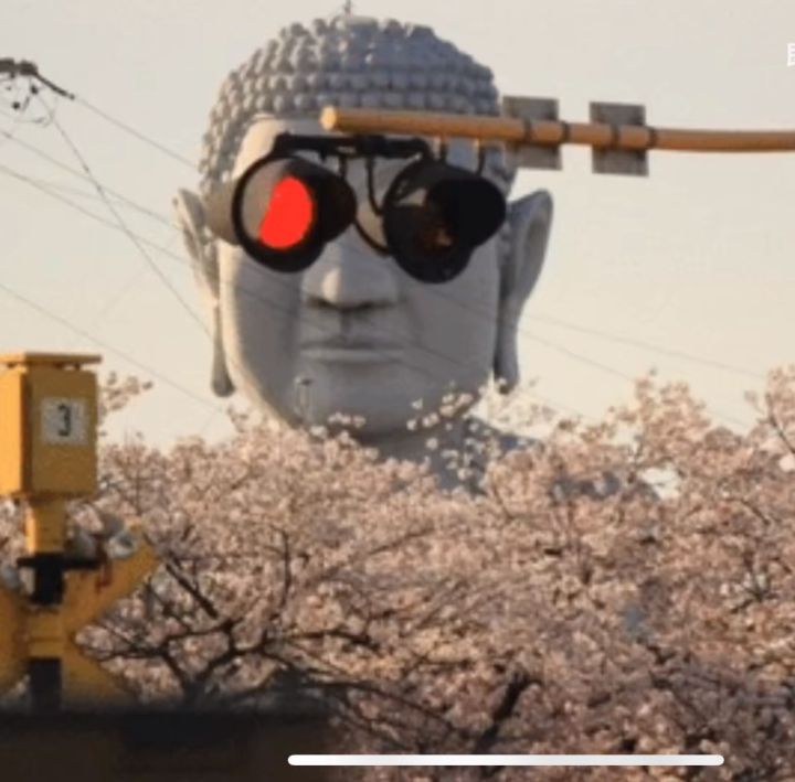 每日一笑走起来,每日一笑系列