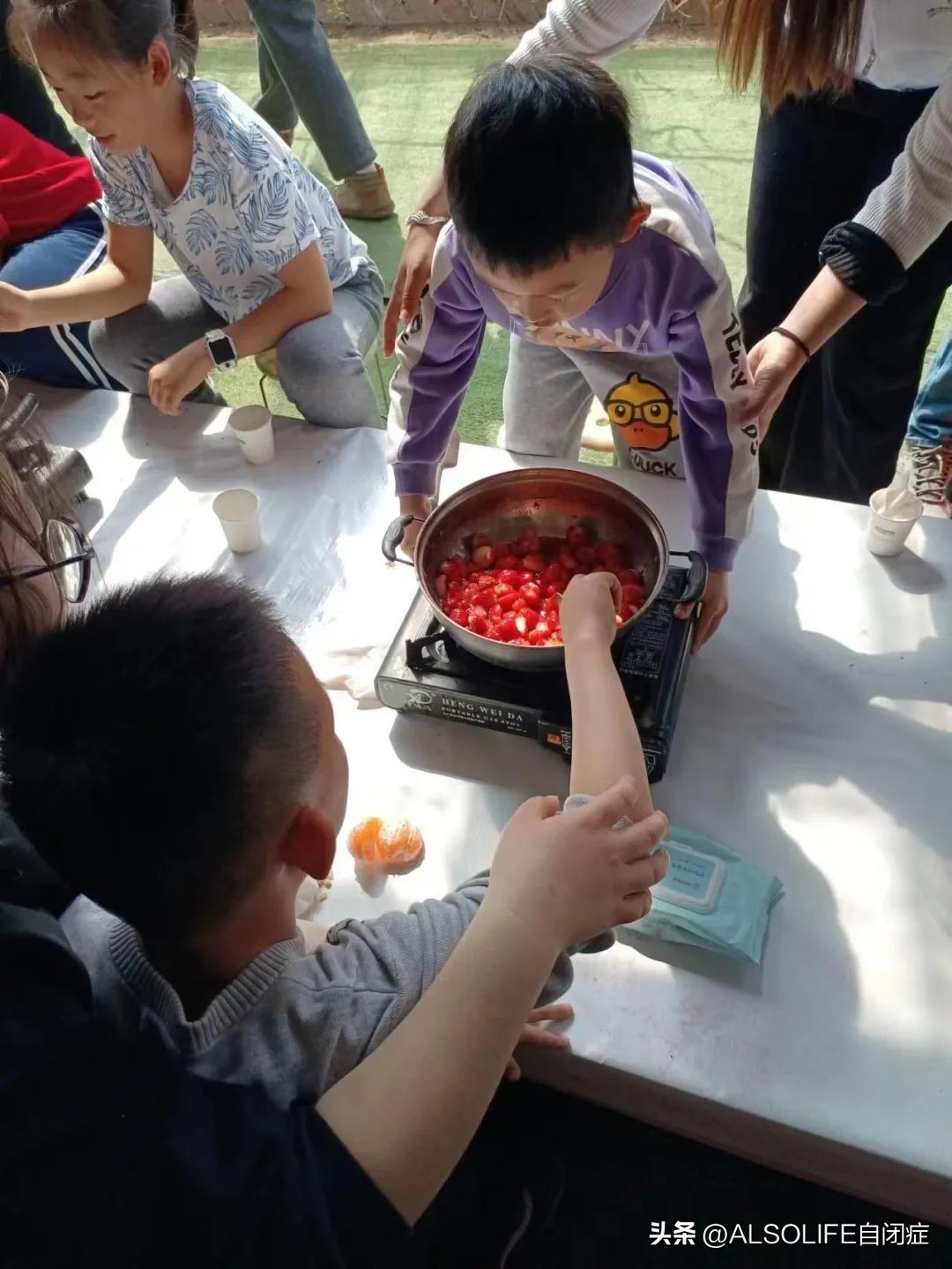 一个特需家庭的融合农场实验