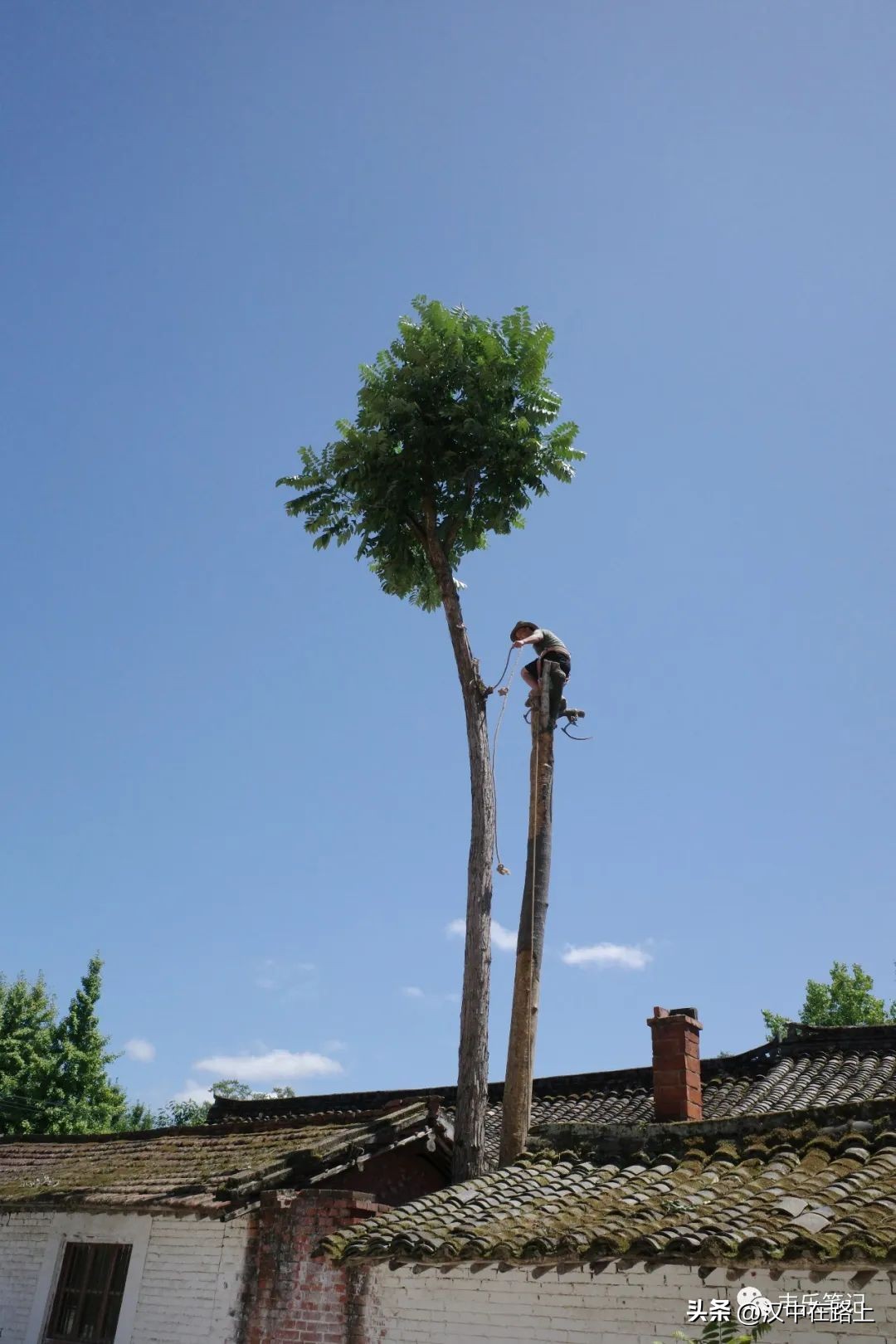 秦岭汉中之旅,翻越秦岭到四川