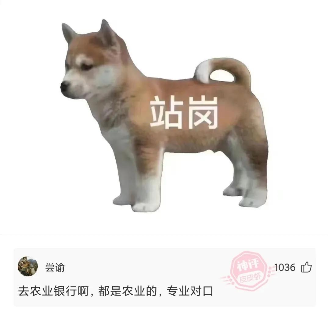 神回复每天坚持锻炼还是瘦不下去,神回复不减肥活着就好