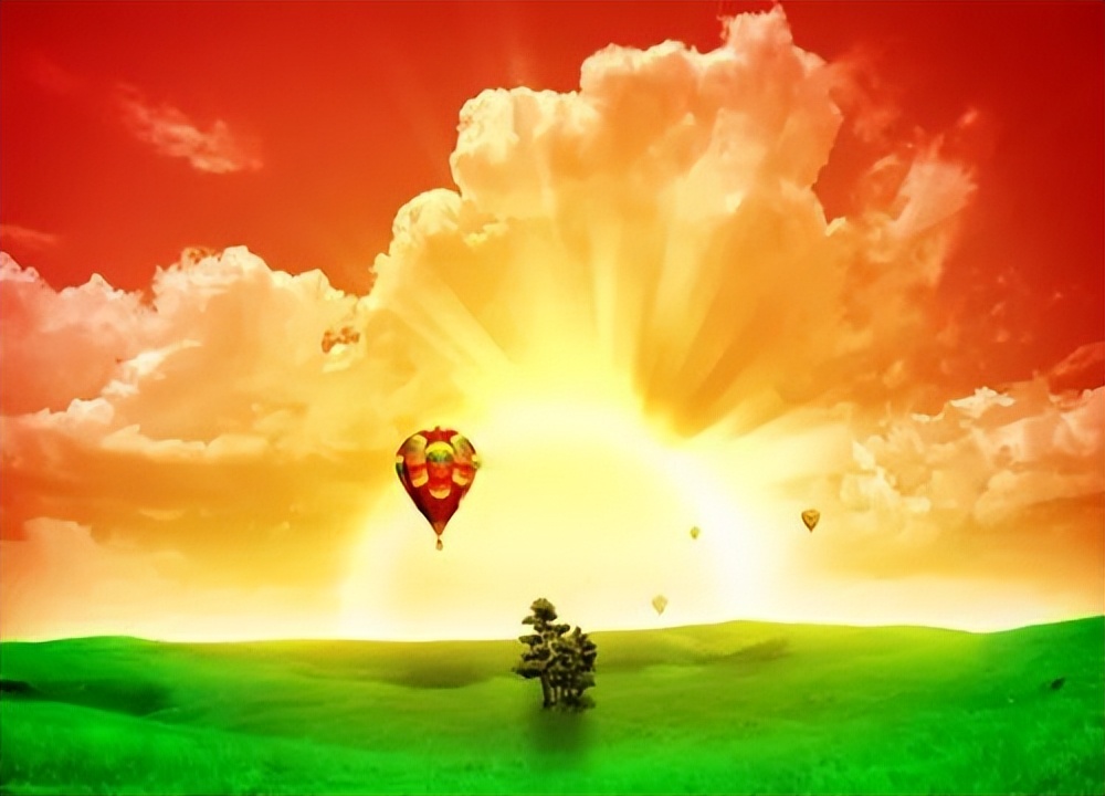 金鱼吊兰最好看,金鱼吊兰开花前后图片