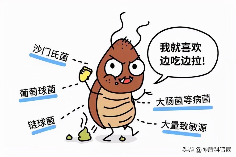 明明蟑螂爬到身上就不见了,有人把蟑螂给踩死了