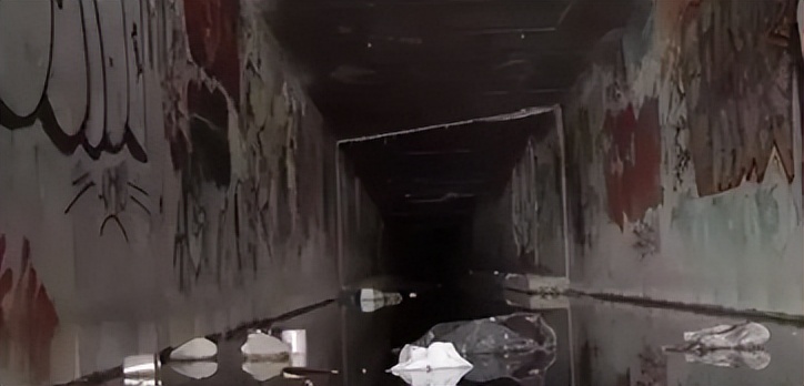 美国老鼠泛滥死了多少人,美国下水道老鼠