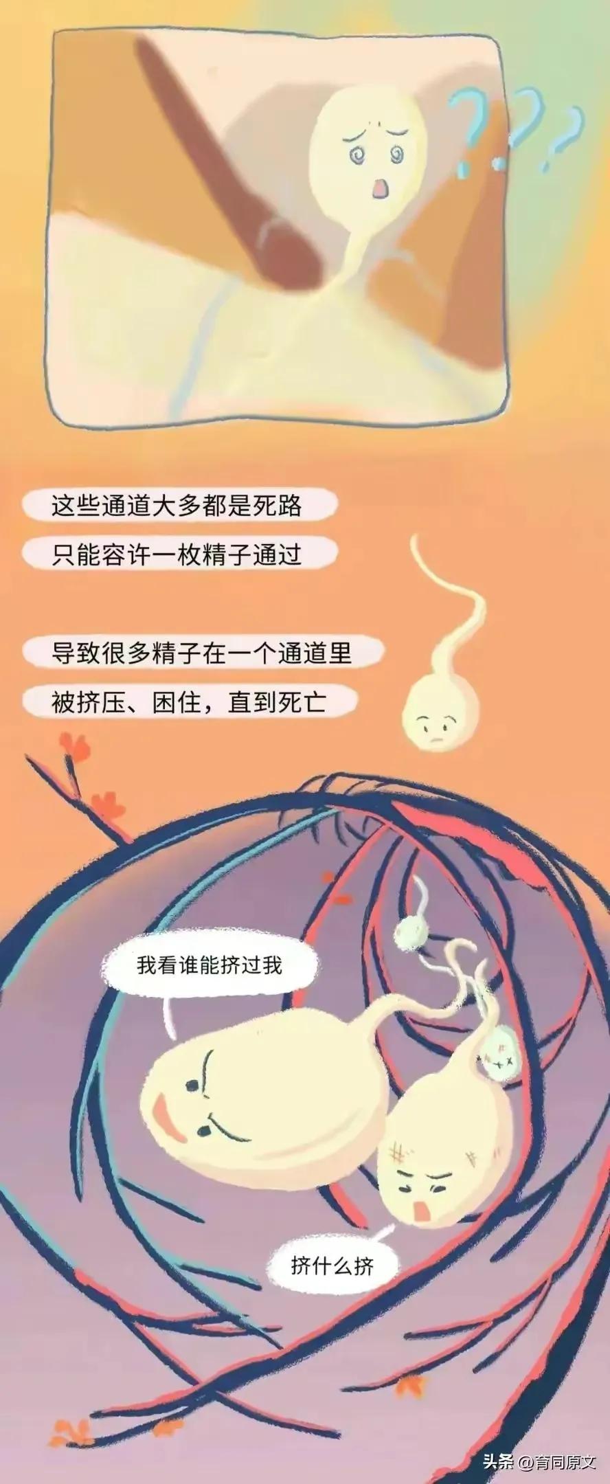 关于怀孕初期的漫画,漫画女性怀孕后都要经历些什么