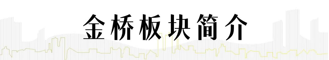 浦东金桥房价最新价格,浦东区二手房是涨还是跌