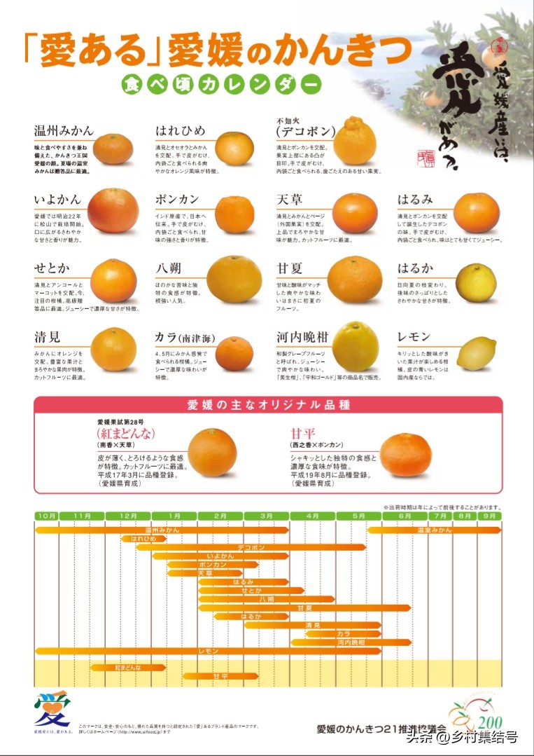 日本爱媛县柑橘,日本爱媛县柑橘研究所