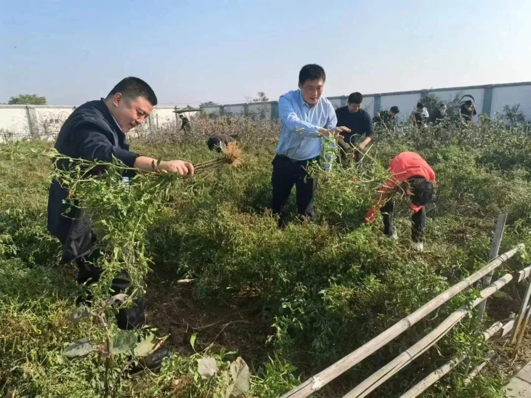 渭南市临渭区优秀校长孟永峰