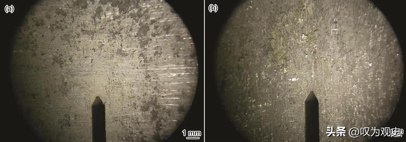 铝的防腐性能,铝具有很好的抗腐蚀性原因是什么