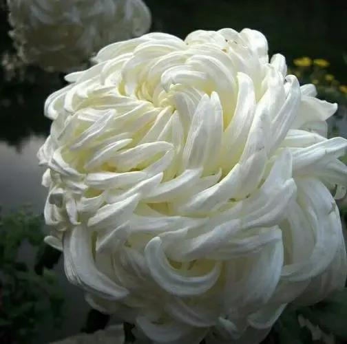 雪的记忆图片,一场雪的记忆