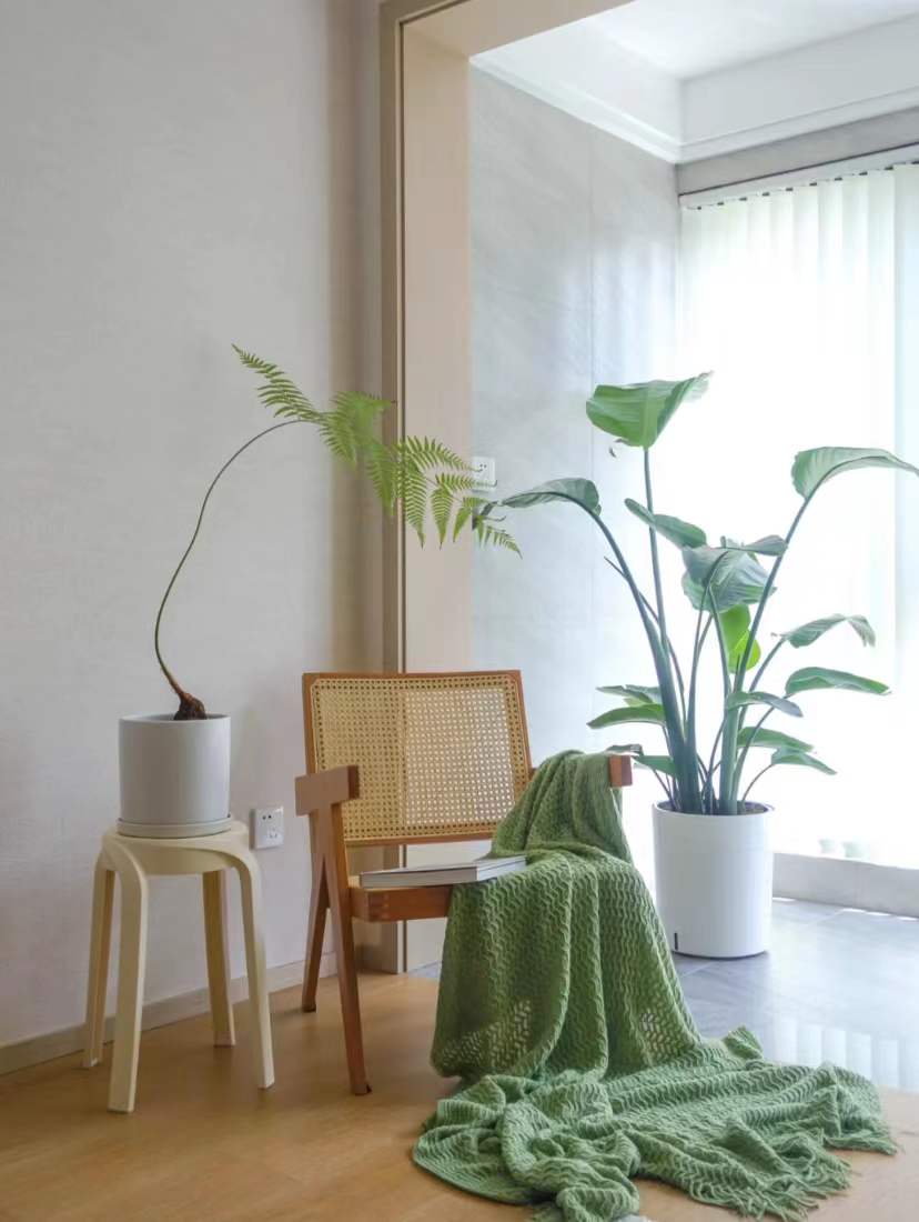 广州发现奇葩建筑,发现一位网友的家因装修风格走红