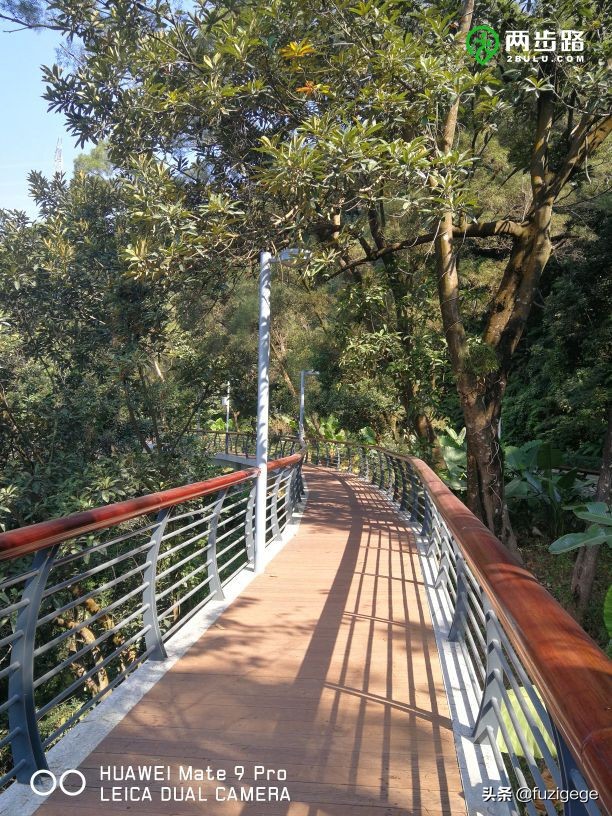 深圳徒步路线从梧桐山到盐田,深圳十峰大南山徒步最佳路线