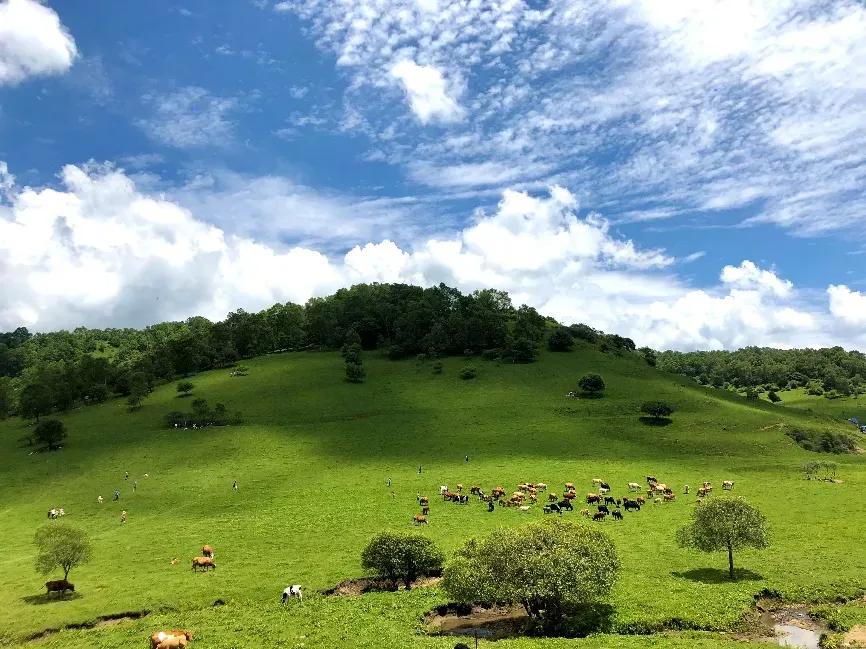 兰州大学人文地理,兰州大学荒漠