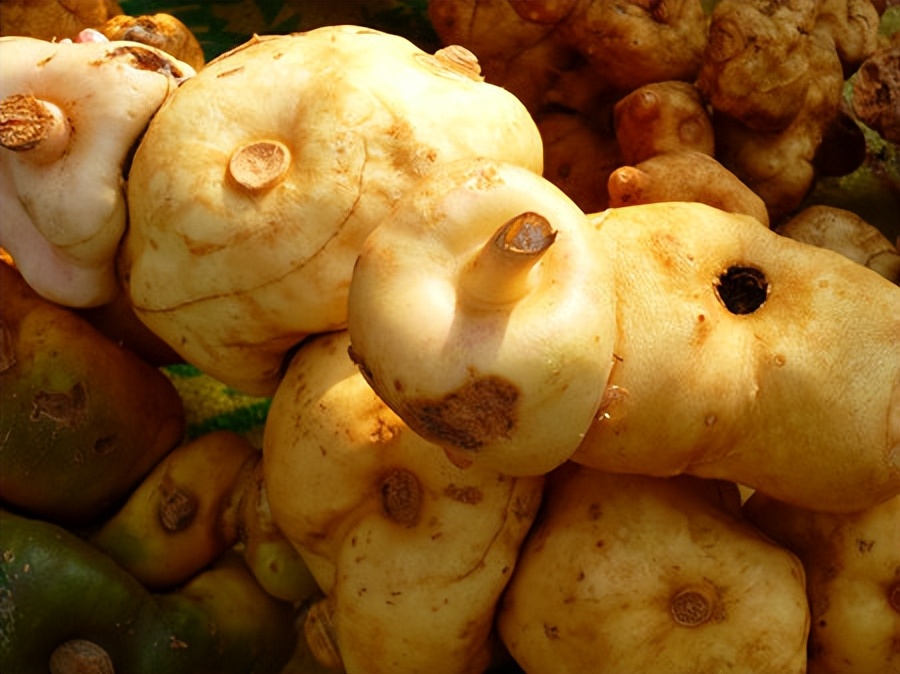 李时珍九种药材增高药方,李时珍称什么为补药之长