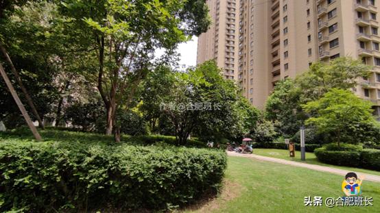 滨湖万科蓝山公区,滨湖万科蓝山容积率