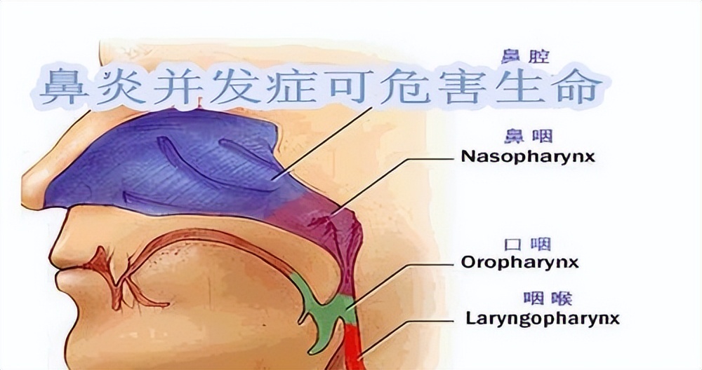 鼻分泌物中客观标志物，在不同鼻炎中的，临床应用。