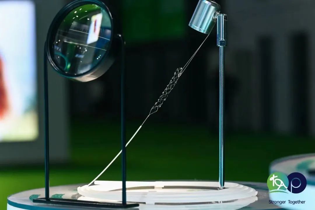 娌冩瘮鍖荤枟绉戞妧骞翠細,娌冩瘮鍖荤枟骞翠細