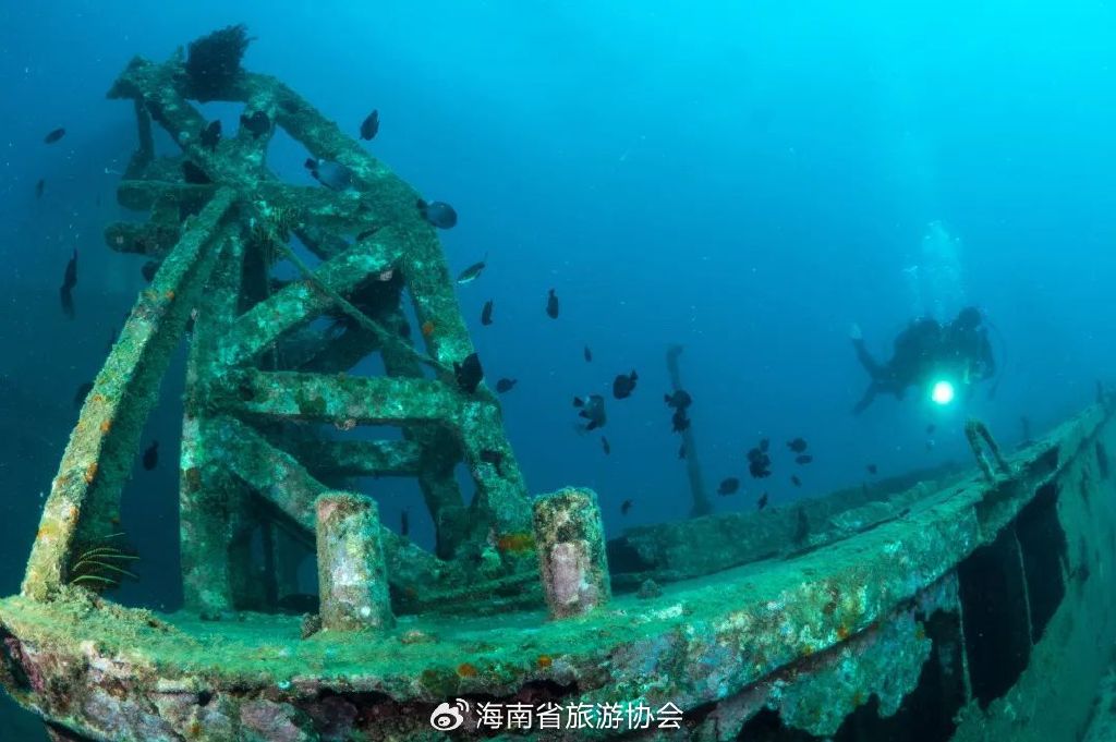 海南分界洲岛旅游区的个人主页,海南省分界洲岛海钓会所