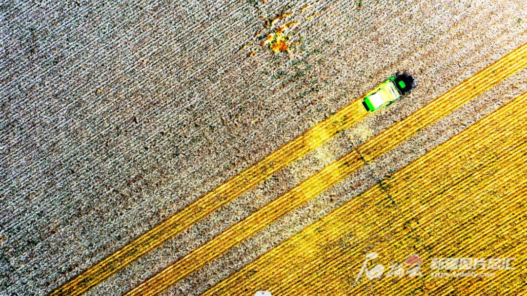 疆内新闻最新头条,今日疆煤最新资讯