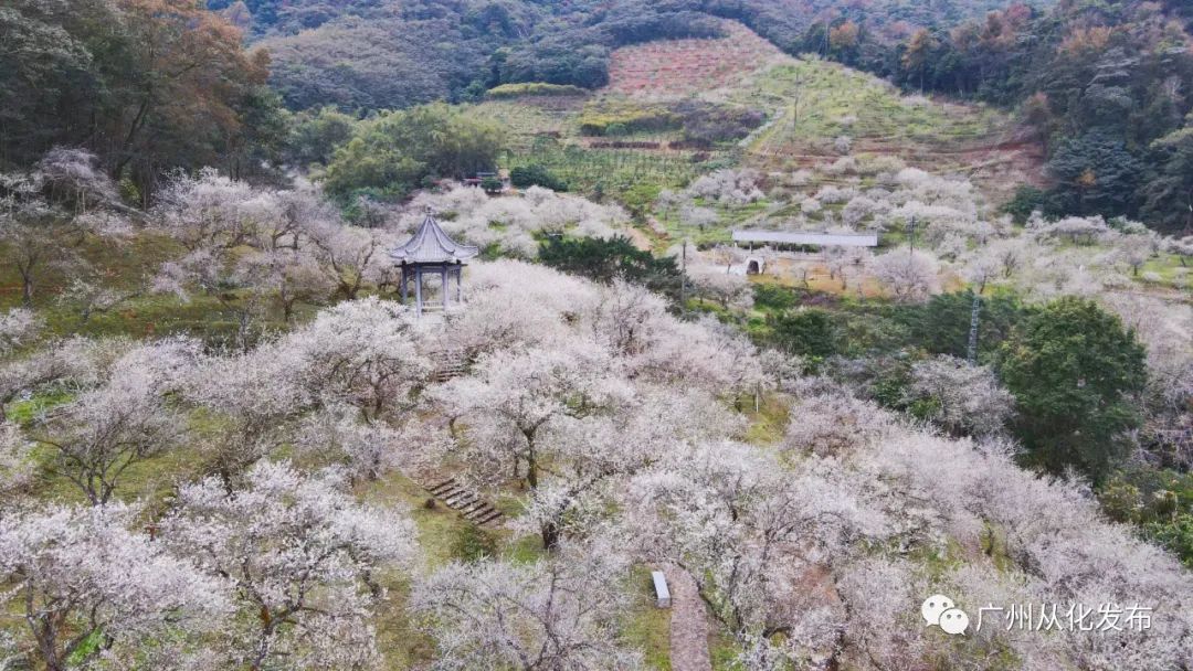 新春攻略生肖派对,新年怎么玩好玩