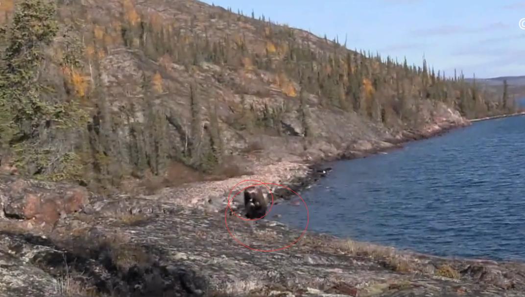 100天挑战荒野赢100万美元,荒野100天冠军