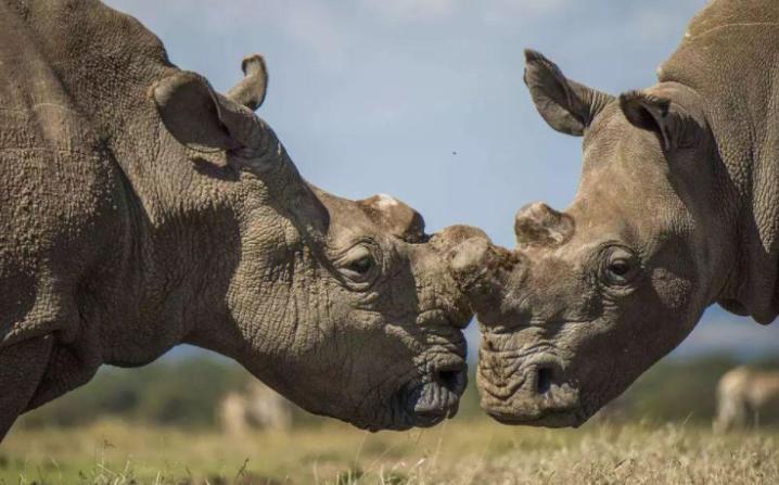 买饰品后被判刑,昆明一女子购买吊坠被判十年