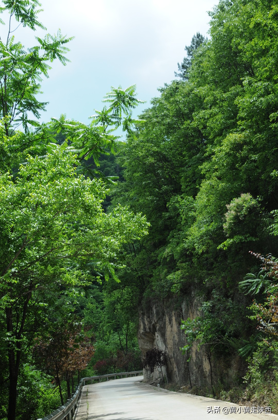 西安秦岭沣峪口夏季避暑去处,西安秦岭沣峪口附近哪里凉快