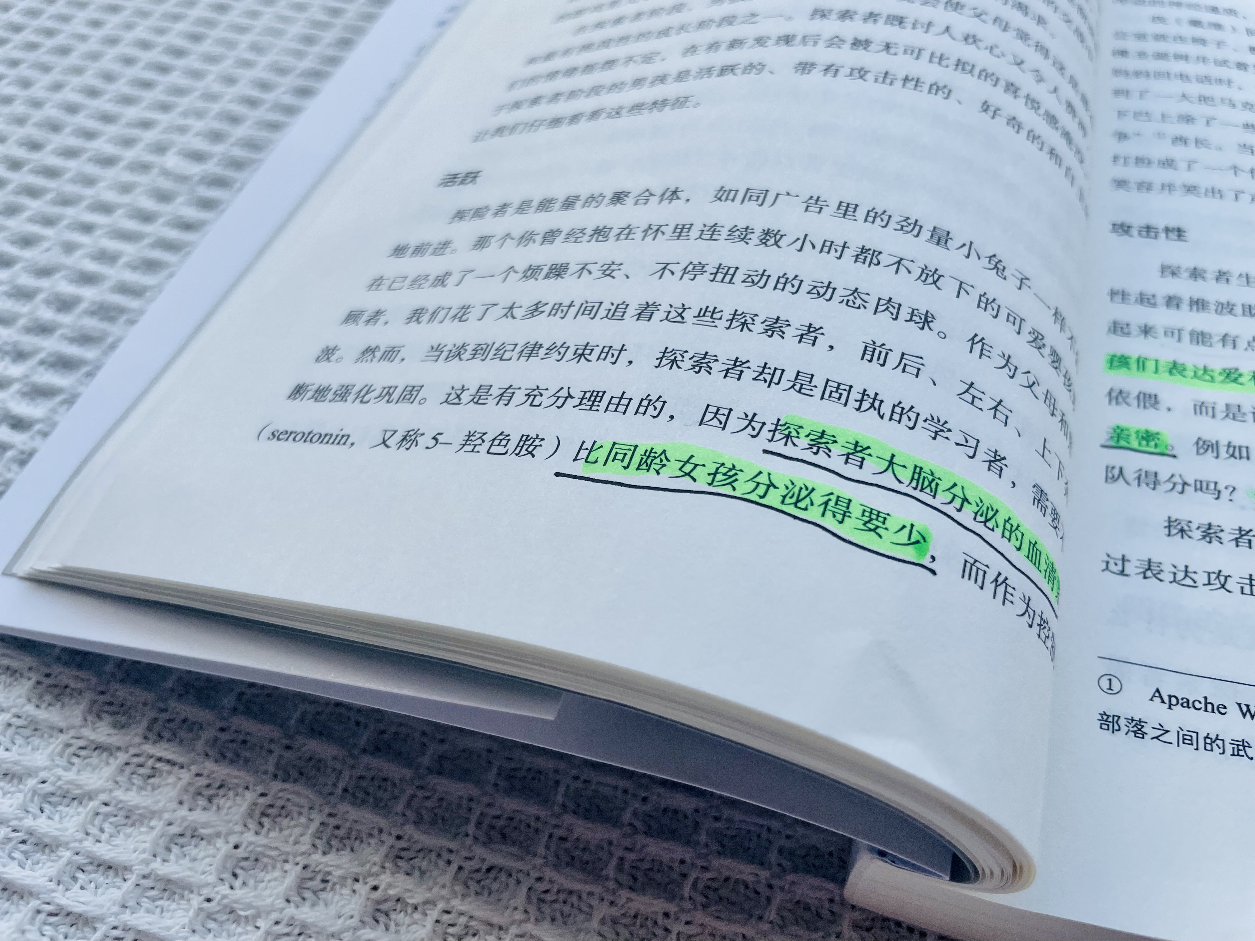 男孩养育大忌是什么,养育男孩3个关键期