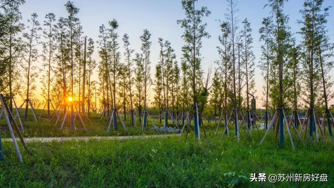 ​保利·栖月雅园┃逆势上扬，热销频传，掀上岛热潮！（中央公园）