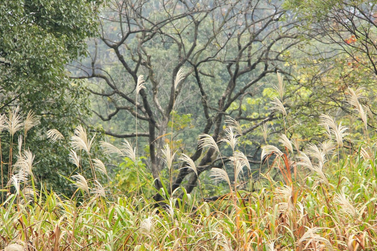 打卡杭州10个风景绝佳的赏秋地,杭州秋天最值得玩的地方