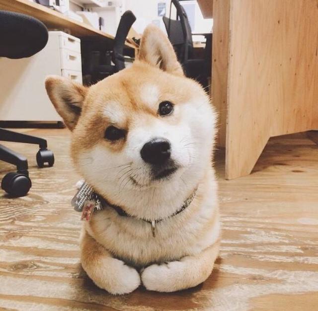 幽默段子简短精辟朋友圈,幽默又精辟的段子不信你问贾乃亮