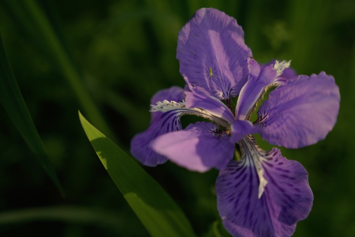 这几个星座表面波澜不惊,这些星座看似高冷实际却暖到不行