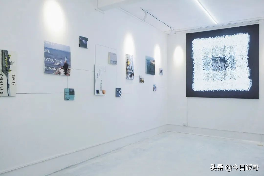 深圳海边五一亲子游赶海推荐,清明海边深圳攻略