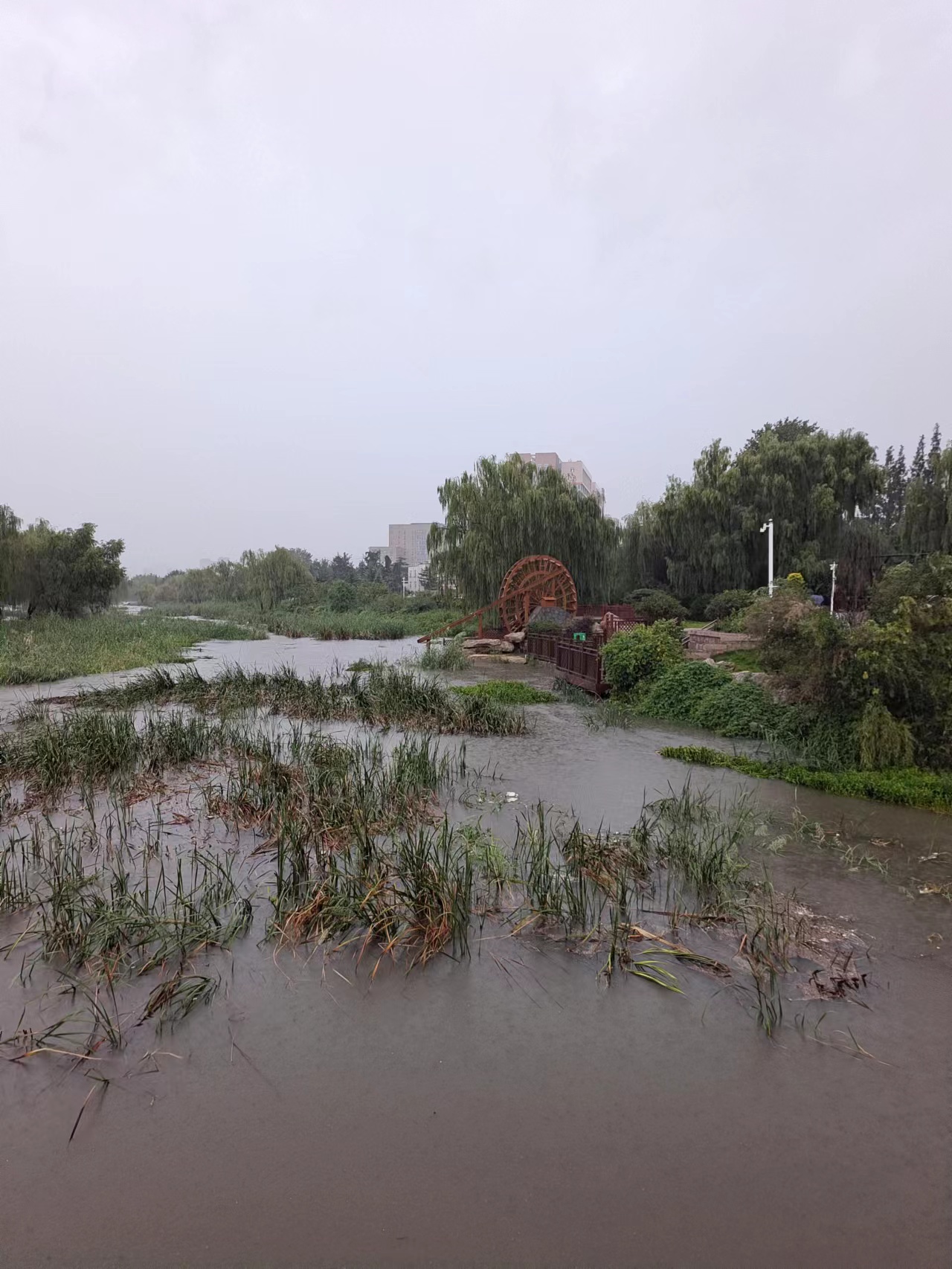青岛黄岛防水堵漏,防水漏水青岛