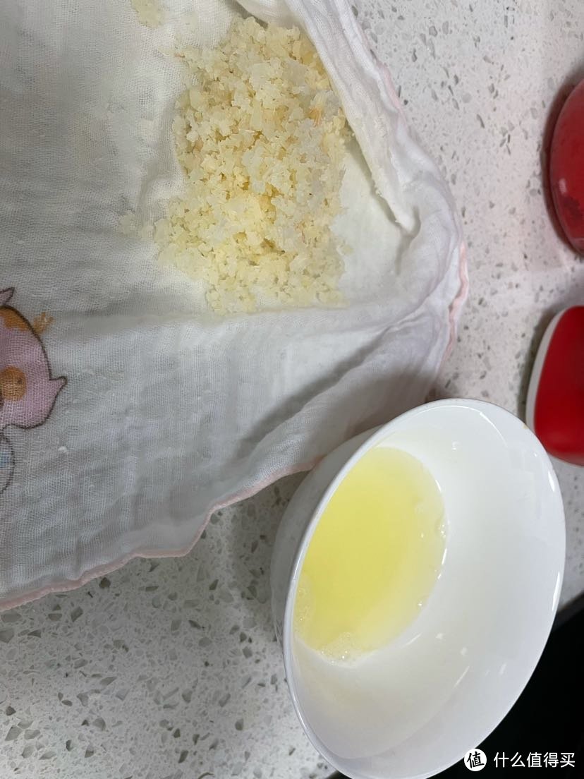 甘蔗汁榨汁机哪种好用,什么牌子的榨汁机可以榨甘蔗