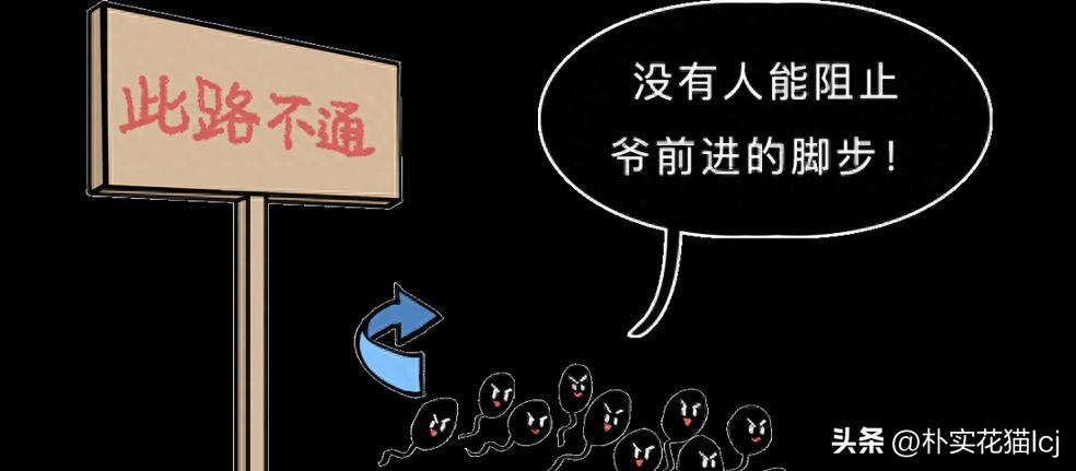 精子受孕未成功后去哪了,没有成功受孕的精子都去哪里了