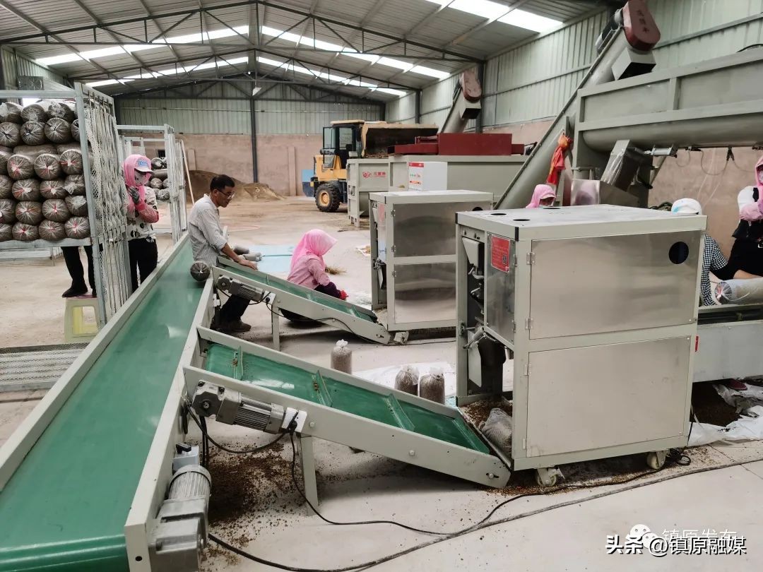 点燃创新新引擎打造发展高地,产业振兴点燃乡村振兴新动能