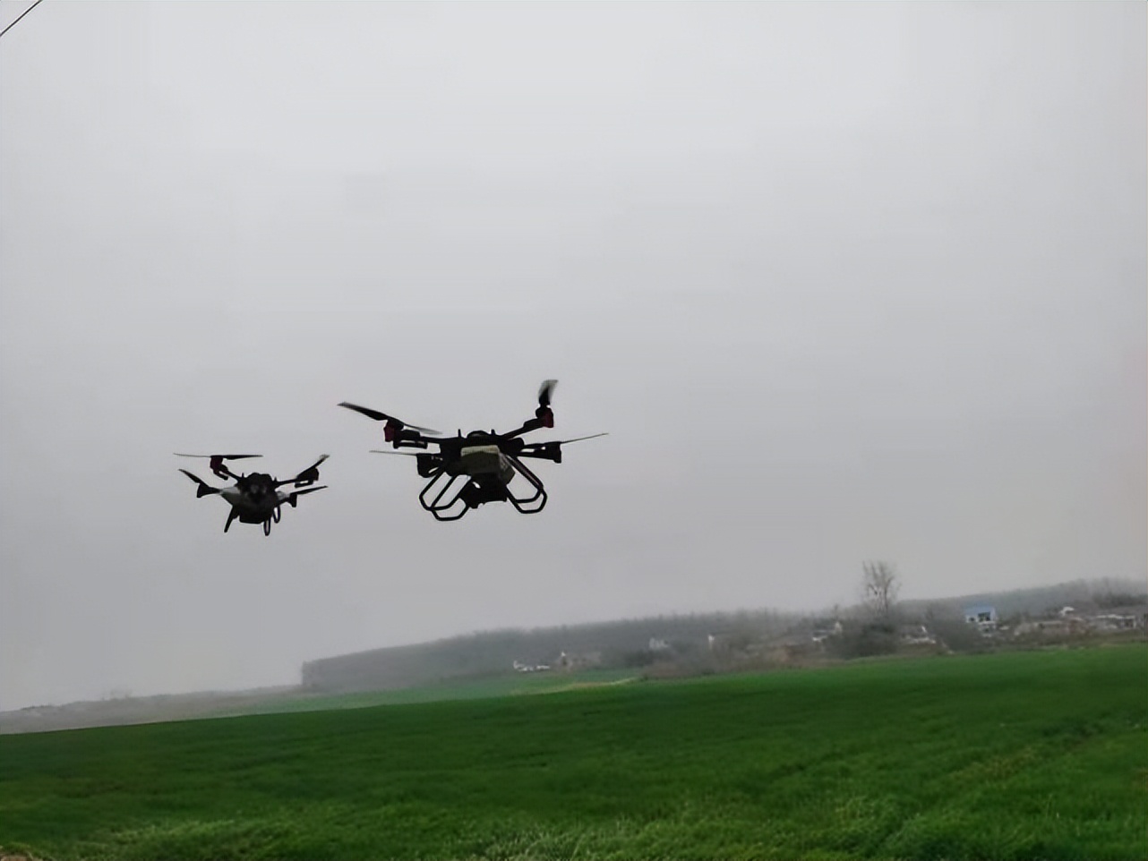 美国近期和中国的最新消息,美国有进行粮食制裁吗