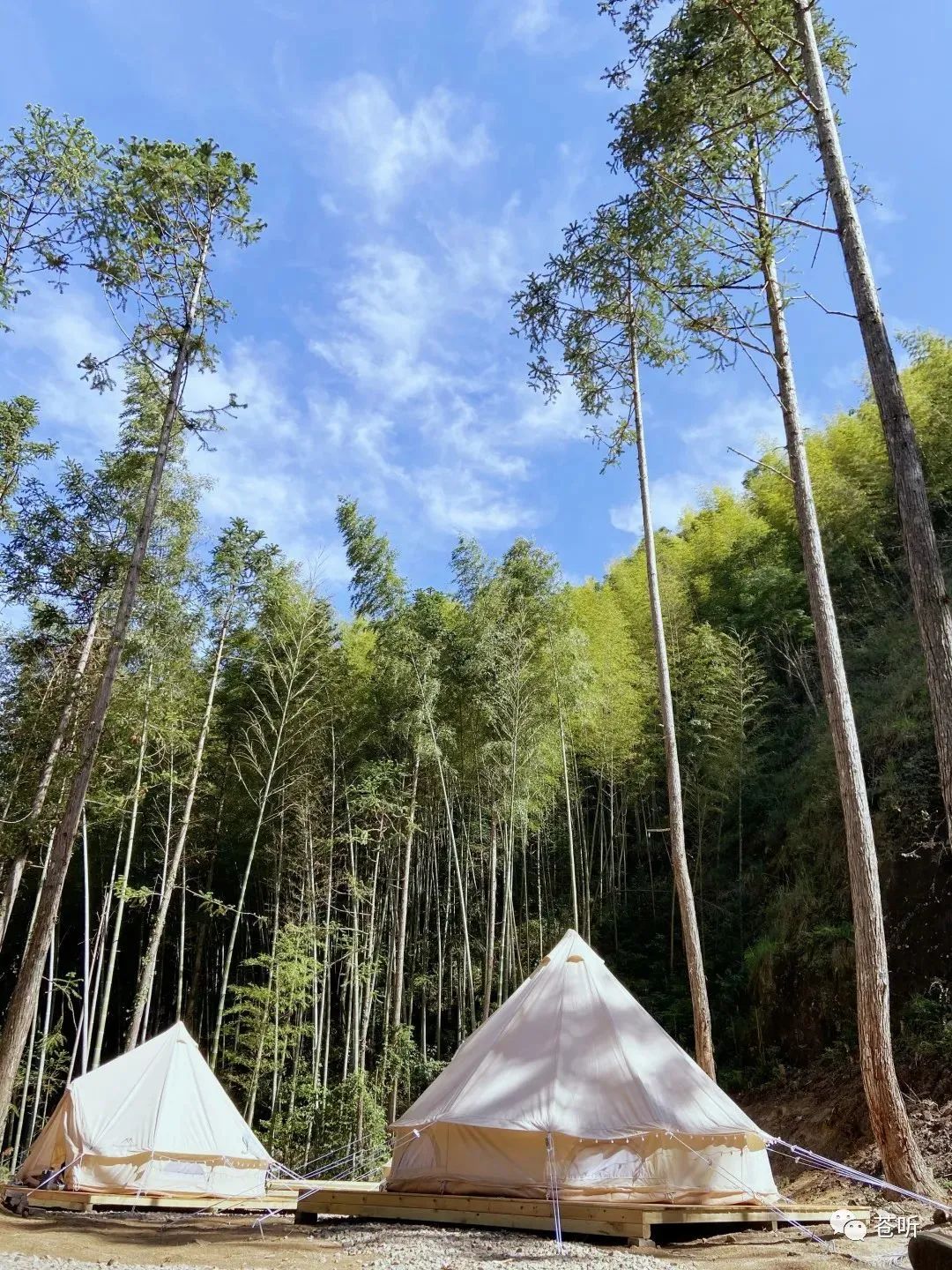 【闽山闽水物华新】国庆露营好“趣”处，奔赴一场自然之约！